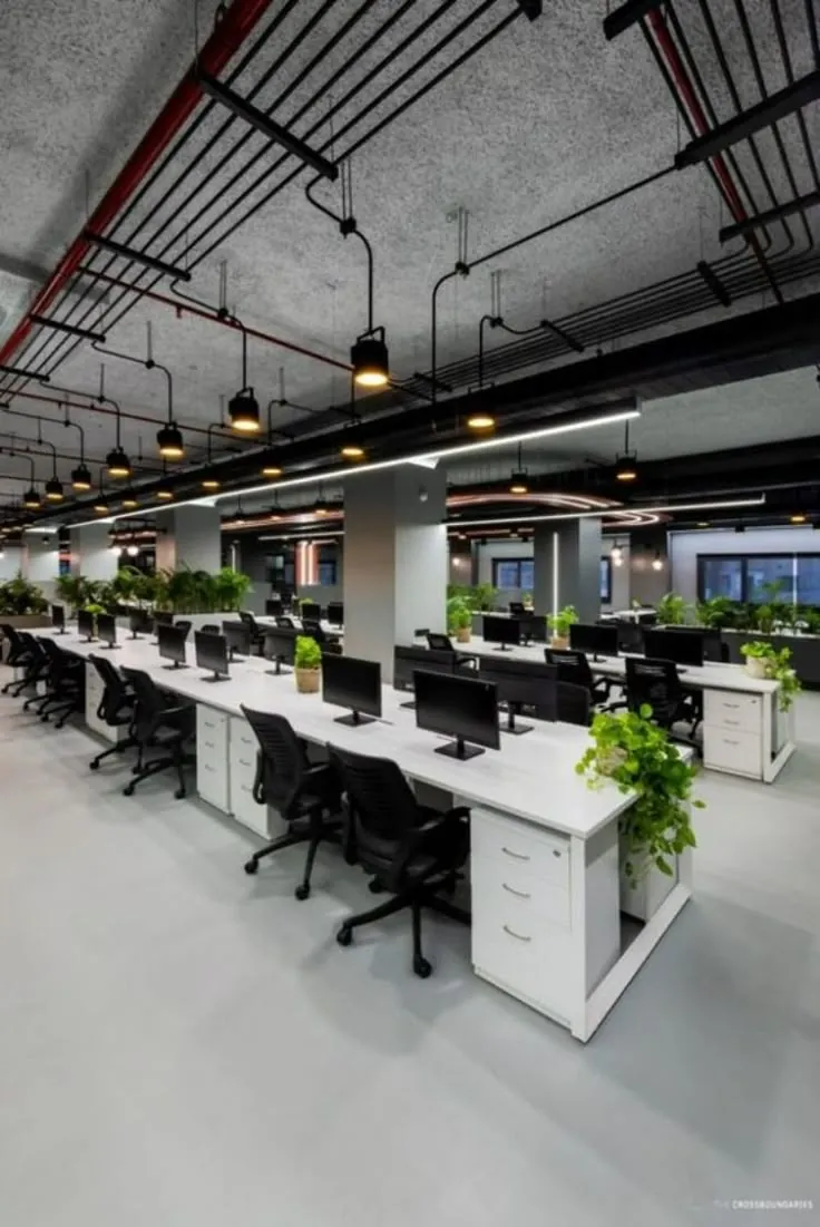 Commercial Renovation
